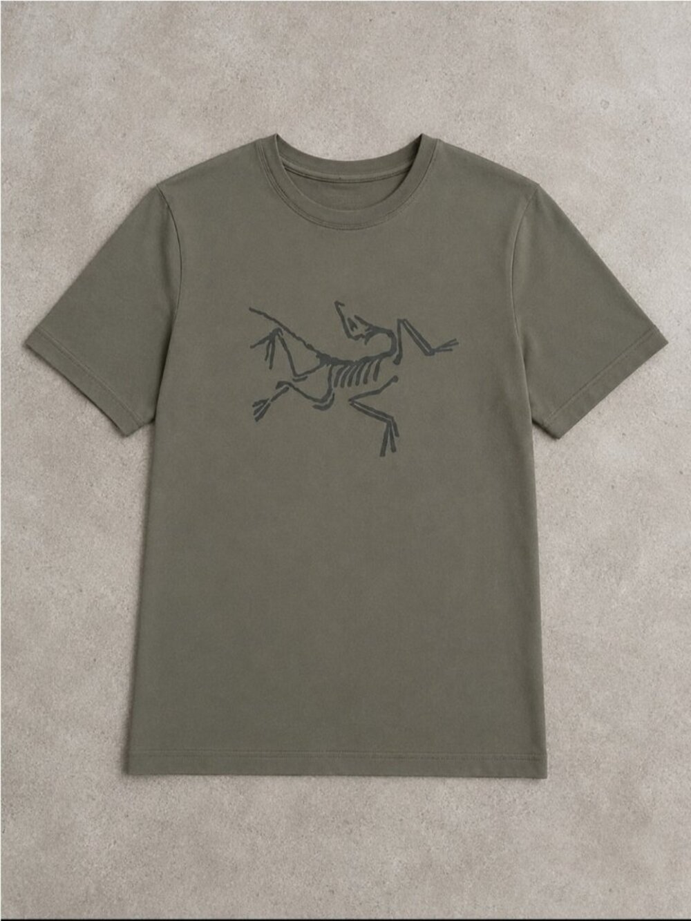 Arc’teryx Archaeopteryx T-Shirt Men’s Large Olive Green Logo Graphic Tee